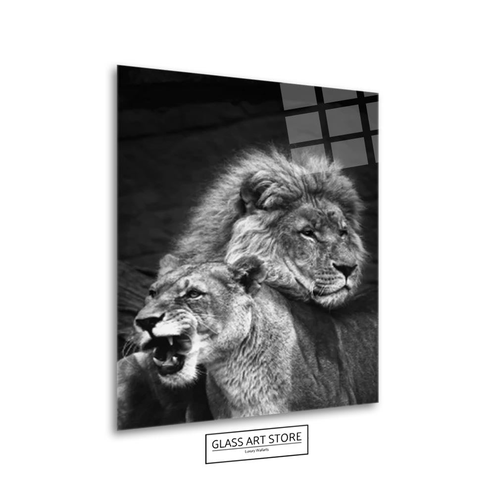 Lion & Lioness Black & White Wall Art